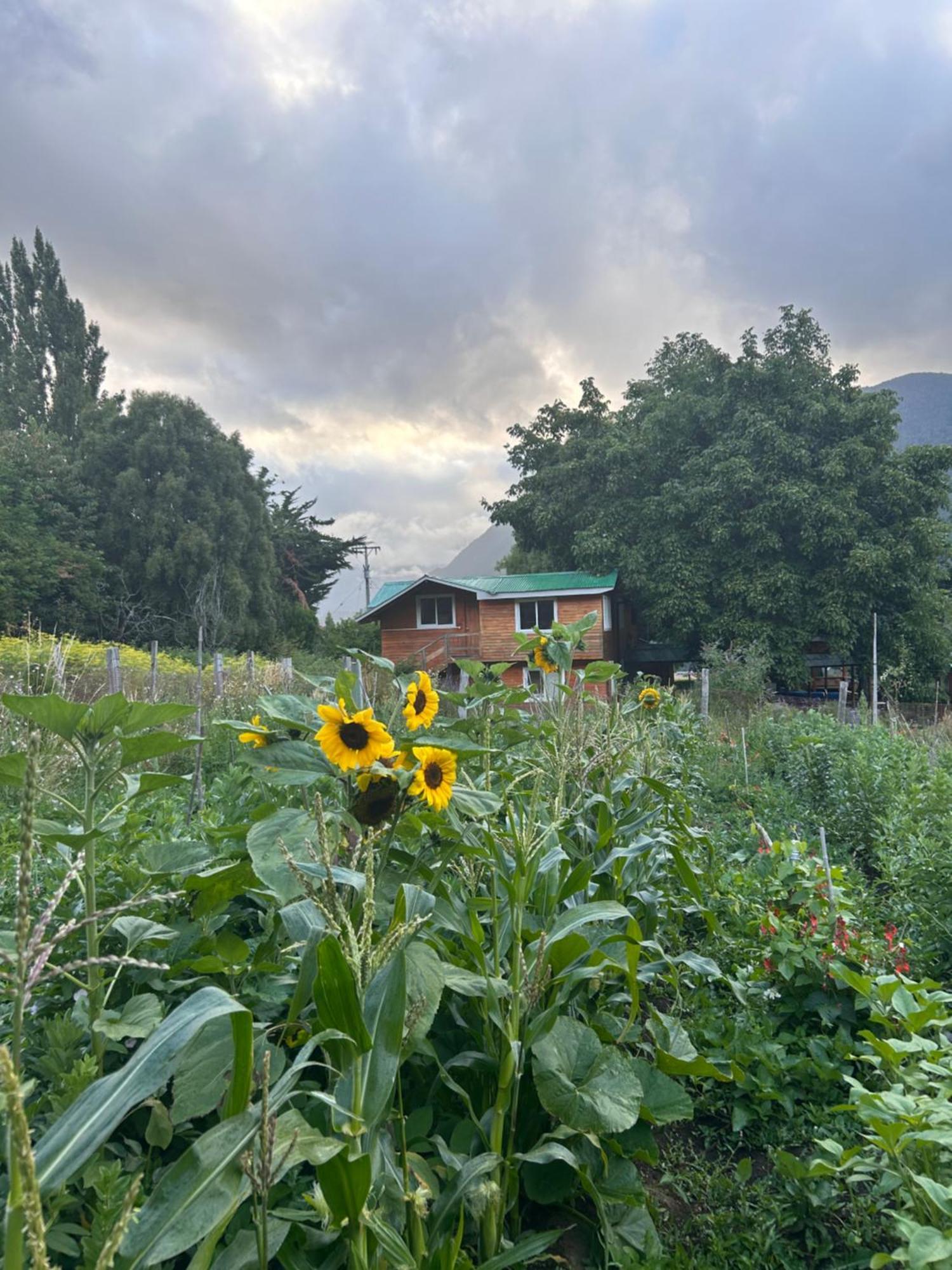 Turismo Rural Los Alpes Futaleufú エクステリア 写真